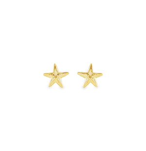 Starfish Stud Earrings